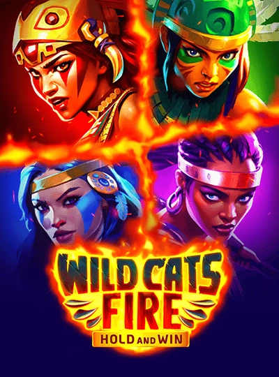 Dragon Tiger live game cover at cr333